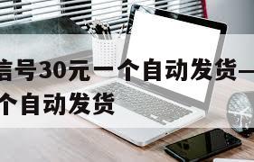 大火!微信号30元一个自动发货——微信白号5元一个自动发货