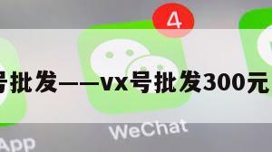 VX号批发——vx号批发300元一个